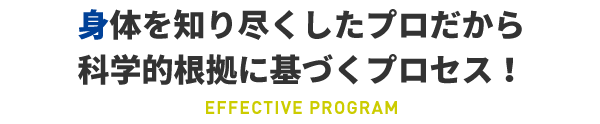 EFFECTIVE PROGRAM